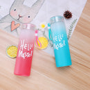 Frosted Glass Water Bottle With Hello Master Decal Logo - 400ml (Random color)